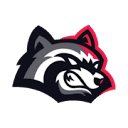 BetFury logo